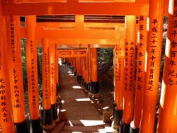 le sanctuaire Fushimi et son légendaire chemin formé par des milliers de torii vermillon.